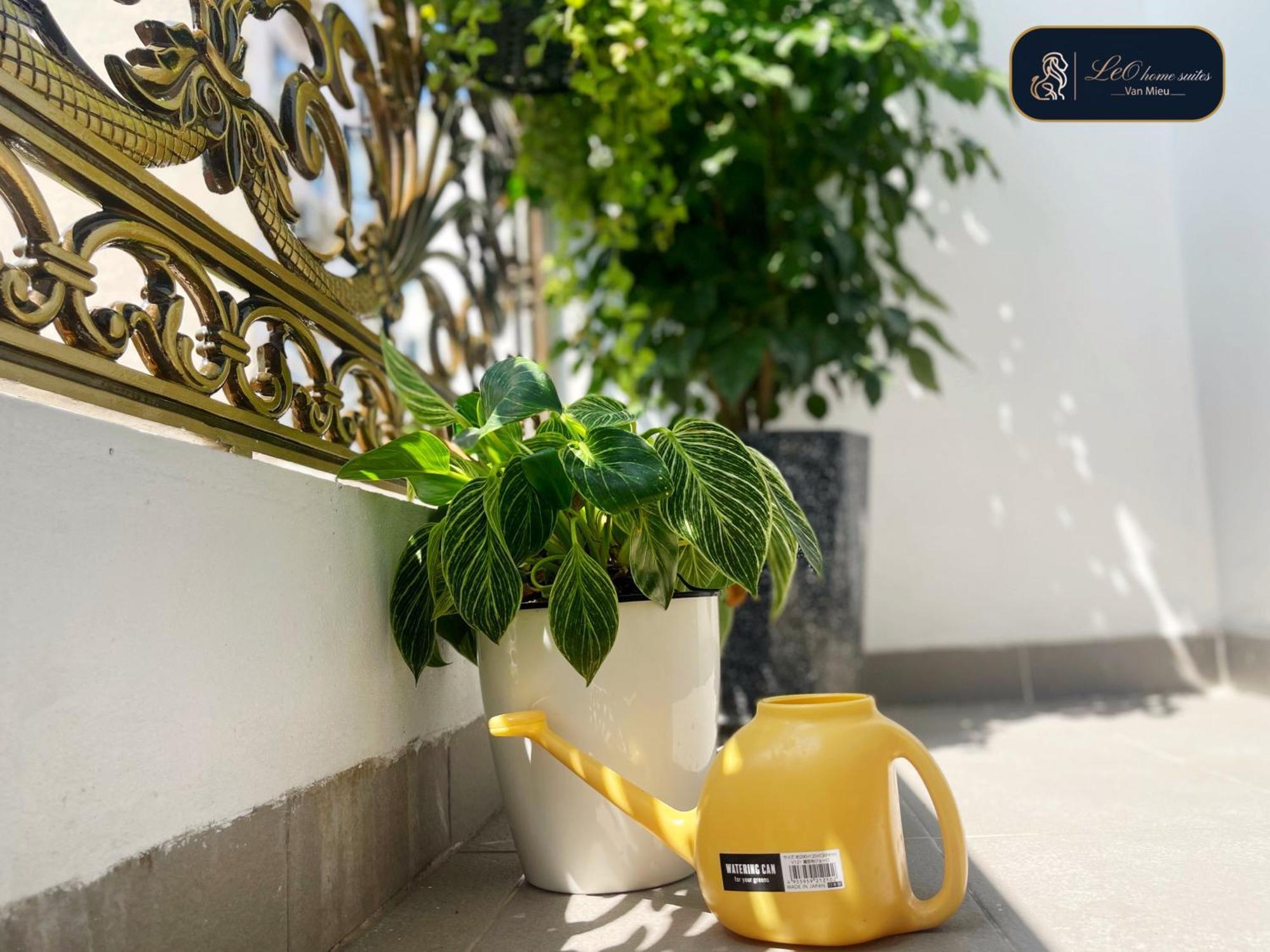 -natural Light -projector -spacious - 2br Incenter Appartement